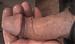 PBFLA's Profile Picture