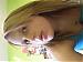 Paige's Profile Picture