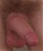 dickwold100's Profile Picture