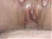 Curiouscouple6621's Profile Picture