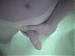 Blue_Eyed_Curious's Profile Picture