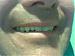 westphillyburbs's Profile Picture