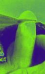 kybigui's Profile Picture
