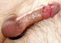 JTSloane's Profile Picture