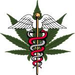 smokindeist's Profile Picture