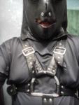 Hungry4Cum's Profile Picture