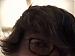 xemeckx's Profile Picture