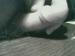 andy47's Profile Picture