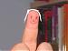 Bonzai's Profile Picture