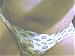 sky12974-1's Profile Picture