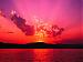 lovelysunset's Profile Picture