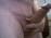 wildo40384u's Profile Picture