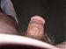 honestsearcher's Profile Picture