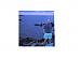 llama's Profile Picture
