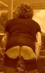 pantyhoseboy's Profile Picture