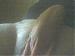 rebuffed's Profile Picture