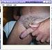 steve32905's Profile Picture
