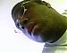 Jaison96's Profile Picture