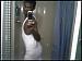 GotDatGoodGood's Profile Picture